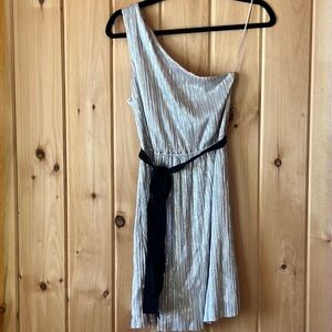 Elegant Silver One-Shoulder Dress